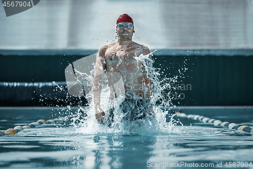 Image of fit swimmer in cap at pool