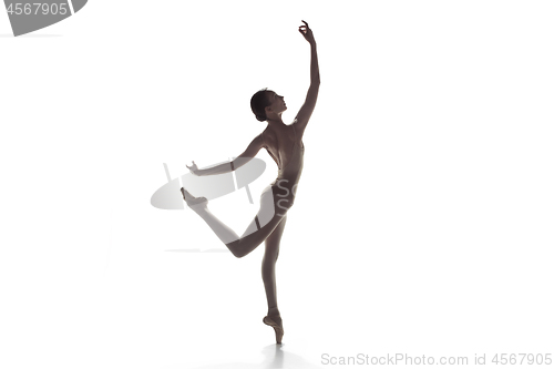 Image of Ballerina. Young graceful female ballet dancer dancing isolated on white. Beauty of classic ballet.