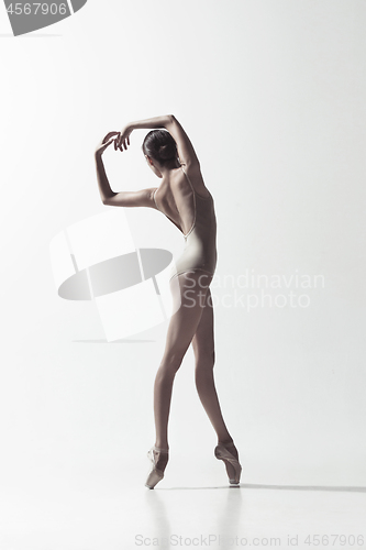 Image of Ballerina. Young graceful female ballet dancer dancing isolated on white. Beauty of classic ballet.