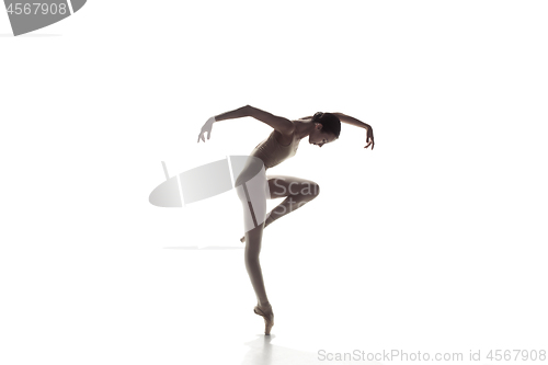 Image of Ballerina. Young graceful female ballet dancer dancing isolated on white. Beauty of classic ballet.