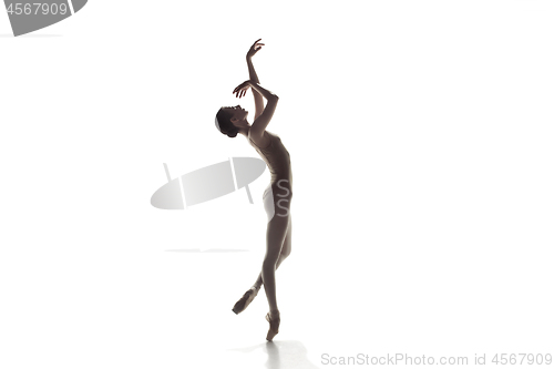 Image of Ballerina. Young graceful female ballet dancer dancing isolated on white. Beauty of classic ballet.