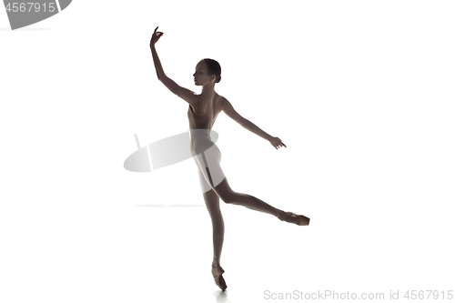 Image of Ballerina. Young graceful female ballet dancer dancing isolated on white. Beauty of classic ballet.