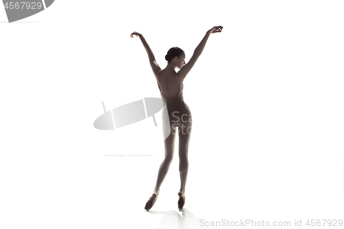 Image of Ballerina. Young graceful female ballet dancer dancing isolated on white. Beauty of classic ballet.