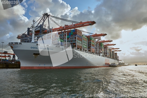 Image of Huge Container Ship in Rotterdam