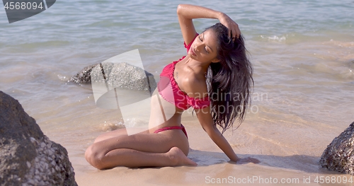 Image of Glamour woman on vacation in trendy swimsuit at seashore