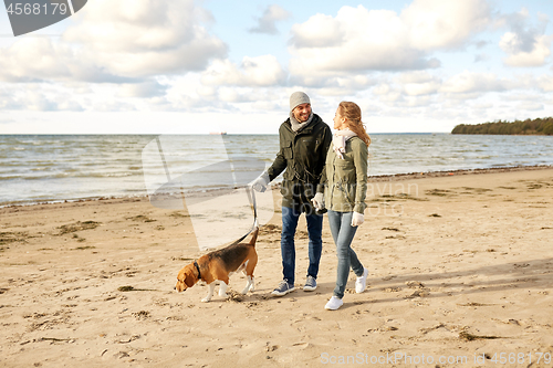 Image of happy couple with beagle dog on autumn beach