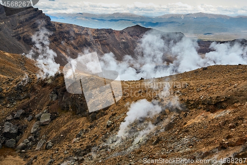 Image of Steam activity in New Zealand