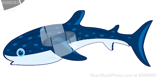 Image of Big whale shark on white background is insulated