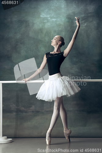 Image of The classic ballerina posing at ballet barre