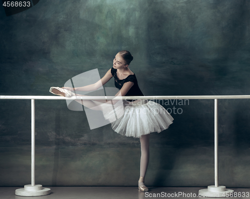 Image of The classic ballerina posing at ballet barre