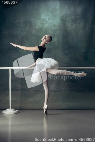 Image of The classic ballerina posing at ballet barre