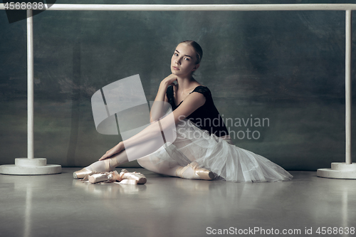 Image of The classic ballerina posing at ballet barre