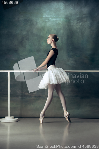 Image of The classic ballerina posing at ballet barre