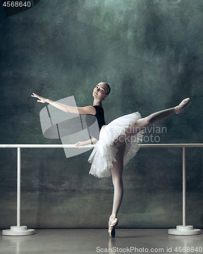 Image of The classic ballerina posing at ballet barre