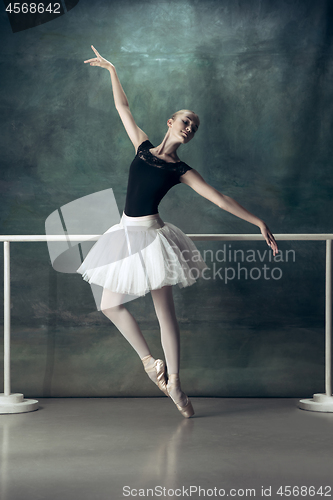 Image of The classic ballerina posing at ballet barre