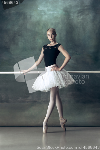 Image of The classic ballerina posing at ballet barre