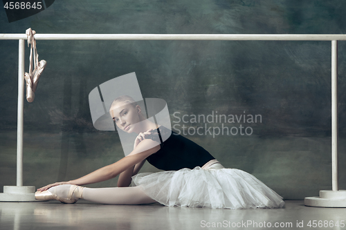 Image of The classic ballerina posing at ballet barre