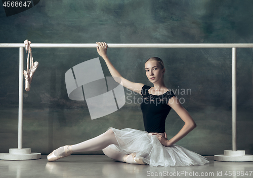 Image of The classic ballerina posing at ballet barre