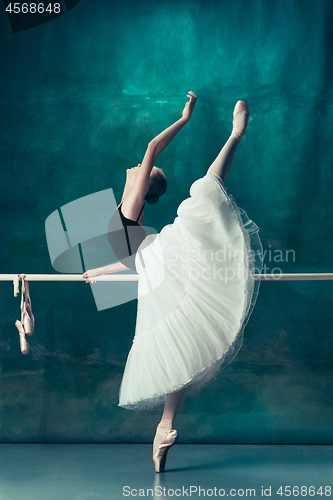 Image of The classic ballerina posing at ballet barre