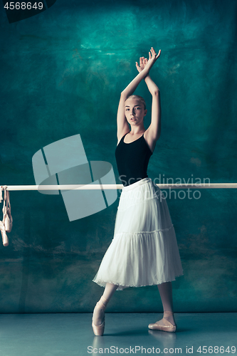 Image of The classic ballerina posing at ballet barre