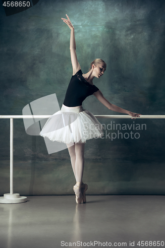 Image of The classic ballerina posing at ballet barre