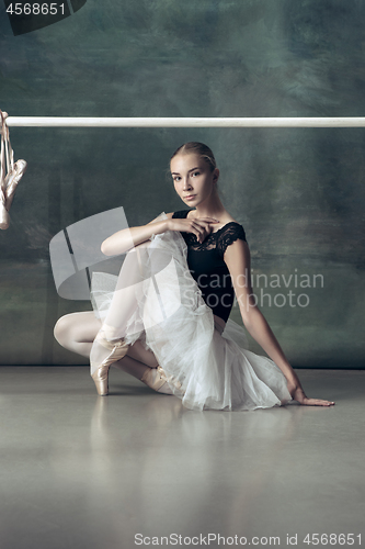 Image of The classic ballerina posing at ballet barre