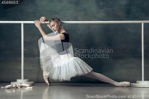 Image of The classic ballerina posing at ballet barre