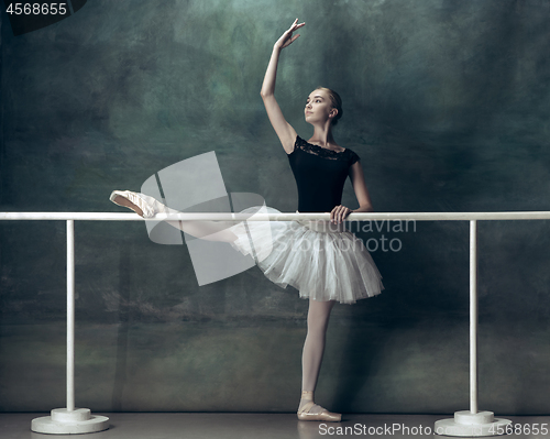 Image of The classic ballerina posing at ballet barre