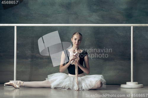 Image of The classic ballerina posing at ballet barre