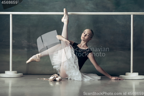 Image of The classic ballerina posing at ballet barre