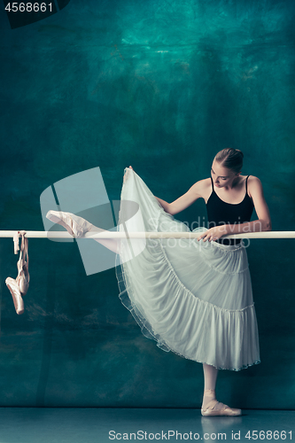 Image of The classic ballerina posing at ballet barre