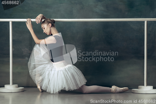 Image of The classic ballerina posing at ballet barre