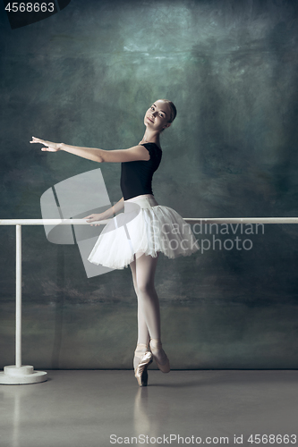 Image of The classic ballerina posing at ballet barre