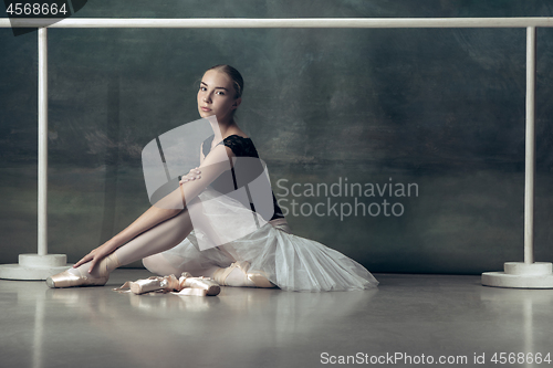 Image of The classic ballerina posing at ballet barre