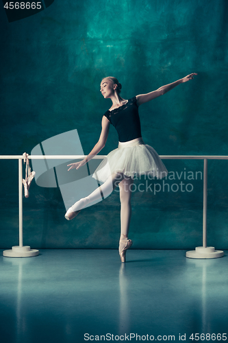 Image of The classic ballerina posing at ballet barre