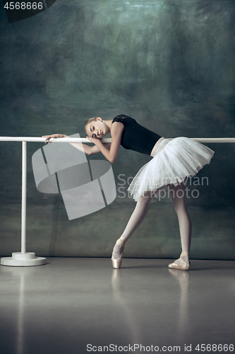 Image of The classic ballerina posing at ballet barre