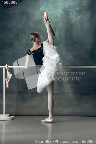 Image of The classic ballerina posing at ballet barre