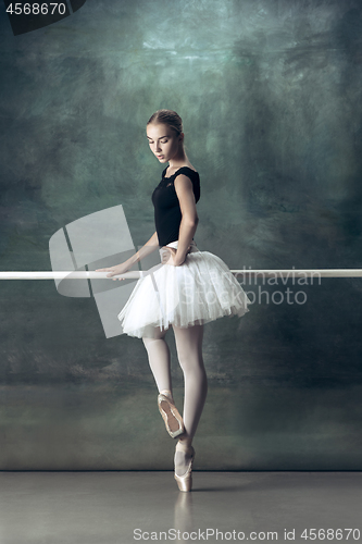 Image of The classic ballerina posing at ballet barre