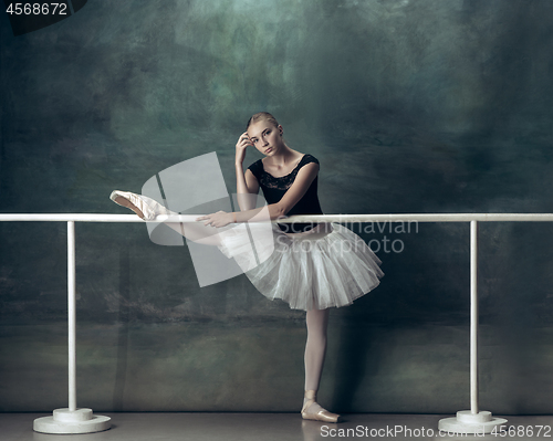 Image of The classic ballerina posing at ballet barre