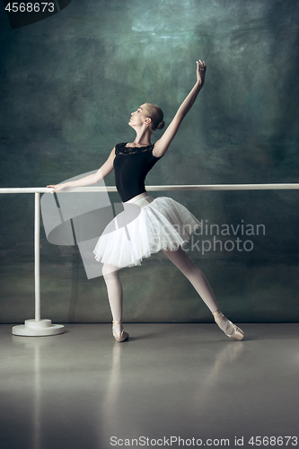 Image of The classic ballerina posing at ballet barre