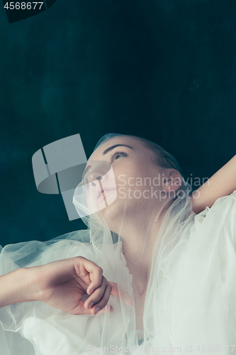 Image of Beautiful bride looking over her veil