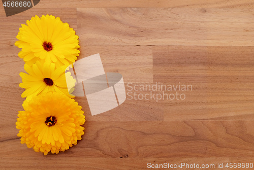 Image of Three yellow calendula flowers on wooden background