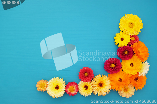 Image of Orange calendulas and red dahlia blooms on blue