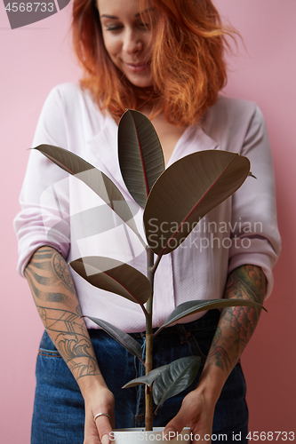 Image of A smiling girl with a tattoo holds a pot with a ficus flower around a pink background with copy space. Mother\'s Day Gift Concept