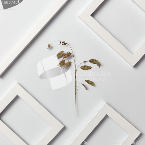 Image of Creative pattern with natural herbal branch and empty frames on a light background.