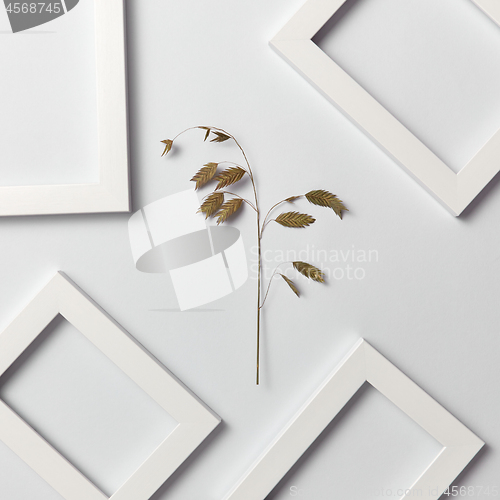 Image of Herbal decorative pattern of leaf branch and empty frames on a light background.