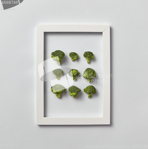 Image of Fresh organic broccoli set in a frame on a light gray background.