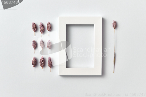 Image of Froral pattern of dry pink flowers buds and empty frame on a light background.