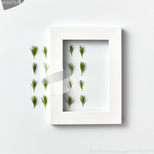 Image of Froral composition with fresh needles and white frame on a light background.