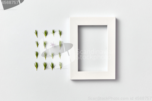 Image of Spring plant pattern from young pine needles and empty frame on a light background.